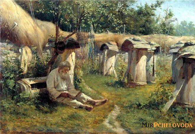 Краткая история развития пчеловодства на Руси