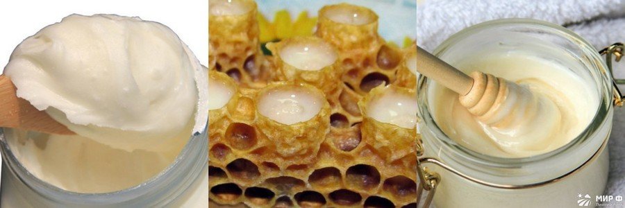 мед с маточным молочком