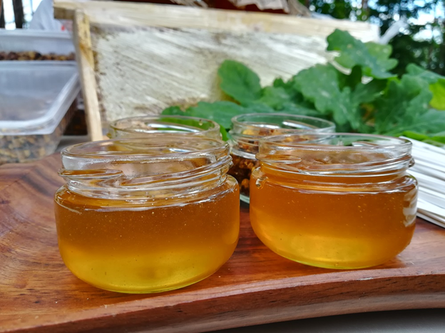 донниковый мед в стеклянных баночках