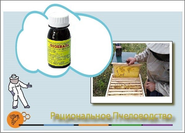 Лозеваль для пчел: инструкция по применению, дозировка