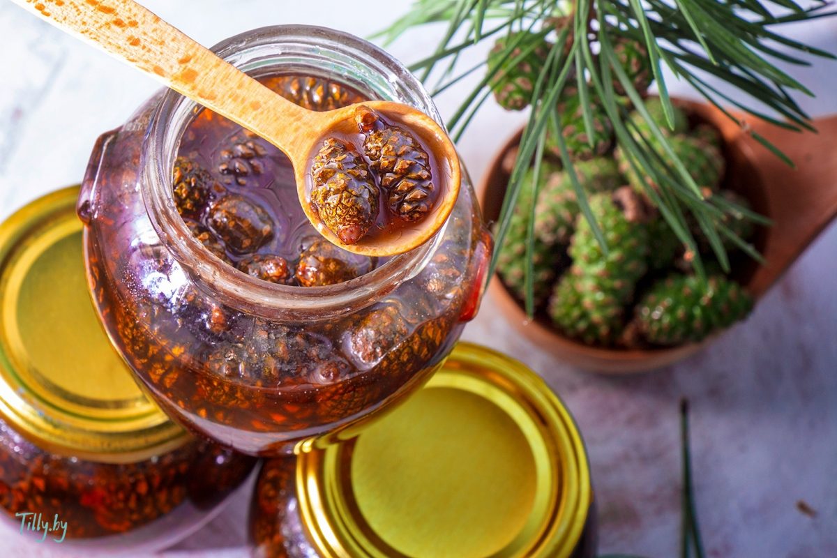 Сосновый мед — состав, польза, рецепты, противопоказания