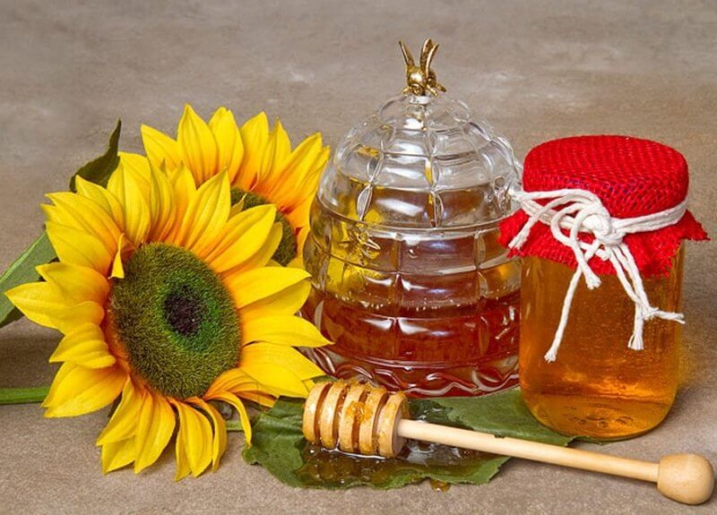 Мед из подсолнечника: состав, полезные свойства, противопоказания