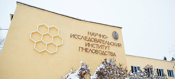 Обучение пчеловодству в Москве