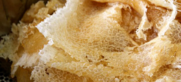 Забрус (печатка мёда): полезная информация о продукте пчеловодства