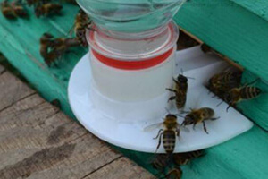 вода для пчел
