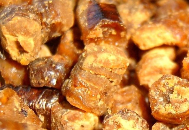 Как едят пергу пчелиную: что это такое и чем она полезна, применение в народной медицине