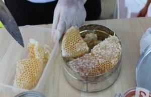 Можно ли мед замораживать – подходящая температура и как правильно хранить