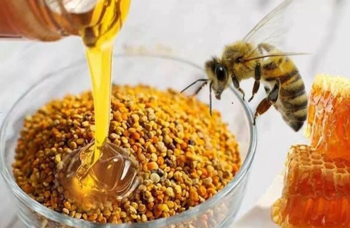 Пчелиная перга: польза, вред для организма, противопоказания. Рецепты для здоровья и красоты.